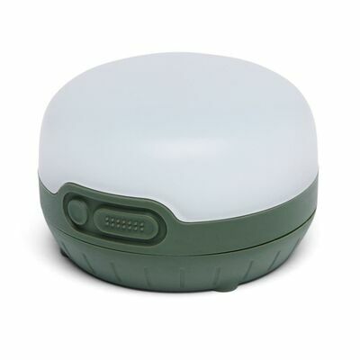 Dark Laurel klik voor vergroting