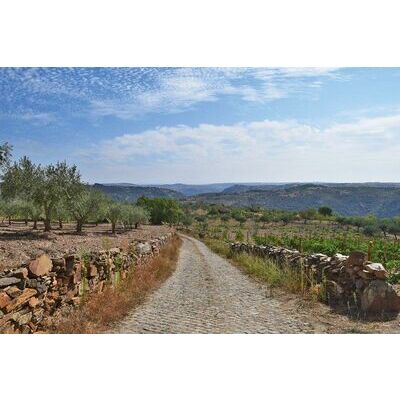 klik voor vergroting