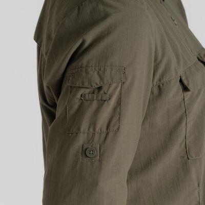 Wild Olive klik voor vergroting