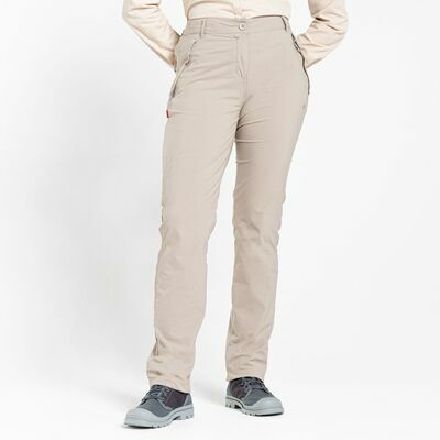 Mushroom klik voor vergroting