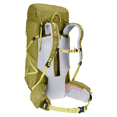 Linden/sprout klik voor vergroting