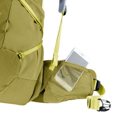 Linden/sprout klik voor vergroting