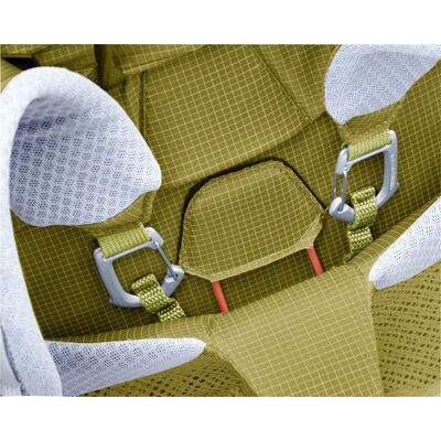 Linden/sprout klik voor vergroting