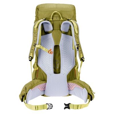 Linden/sprout klik voor vergroting