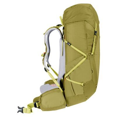 Linden/sprout klik voor vergroting