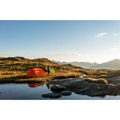 Lichen klik voor vergroting