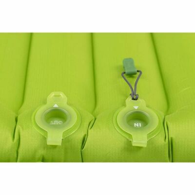 Lichen klik voor vergroting