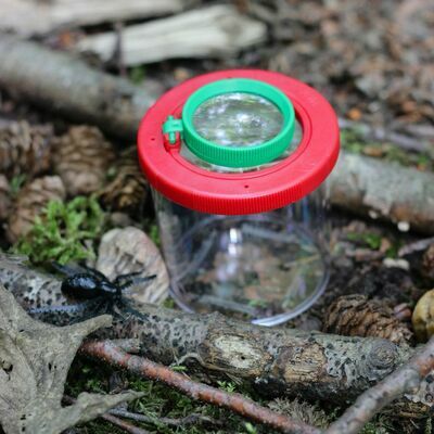 klik voor vergroting