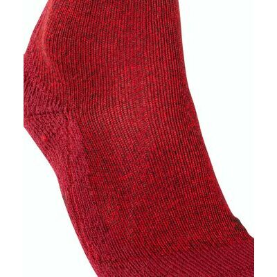 Scarlet klik voor vergroting