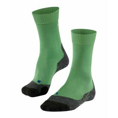 Eucalypthus klik voor vergroting