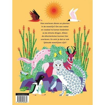 klik voor vergroting