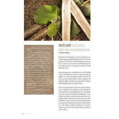 klik voor vergroting