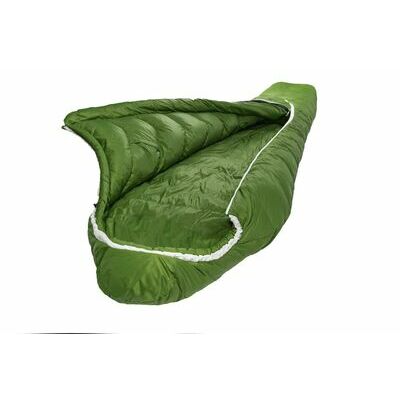 Cactus klik voor vergroting