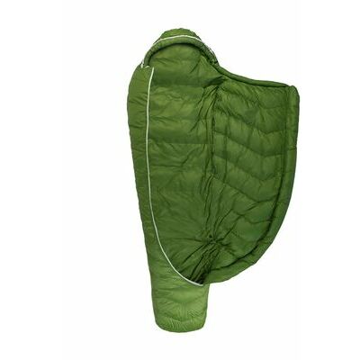 Cactus klik voor vergroting