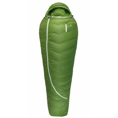 Cactus klik voor vergroting