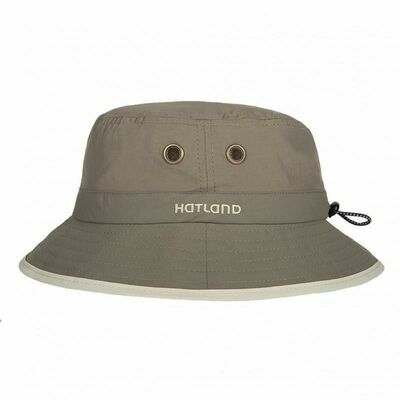 Olive klik voor vergroting