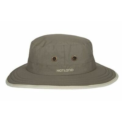 Olive klik voor vergroting