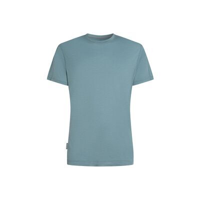 Blue Ash klik voor vergroting