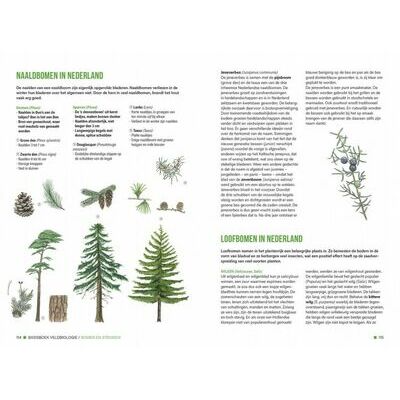 klik voor vergroting