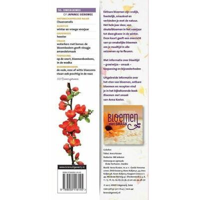 klik voor vergroting