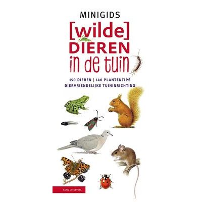 klik voor vergroting
