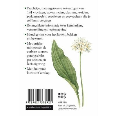 klik voor vergroting