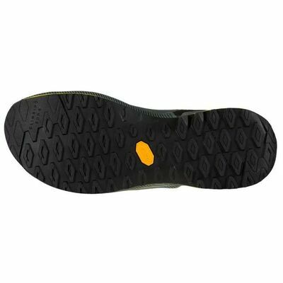 Beetle/citrus klik voor vergroting