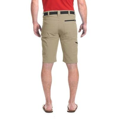 Coriander klik voor vergroting