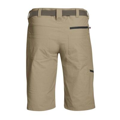 Coriander klik voor vergroting