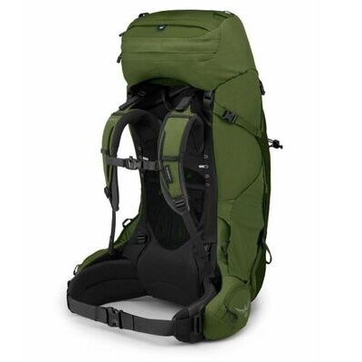 Garlic Mustard Green klik voor vergroting