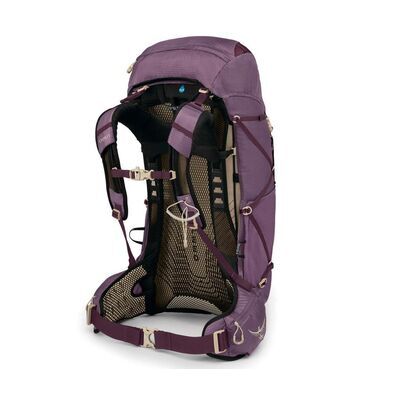 Purple Dusk klik voor vergroting