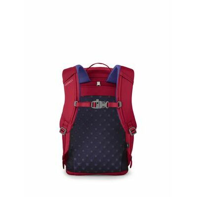 Cosmic Red klik voor vergroting