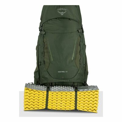 Bonsai Green klik voor vergroting