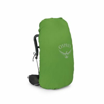 Bonsai Green klik voor vergroting