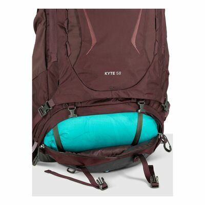 Elderberry Purple klik voor vergroting