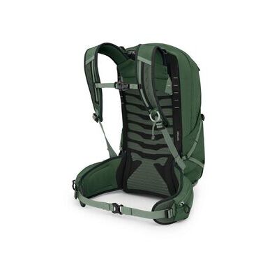 Green Canopy Pine Leaf klik voor vergroting