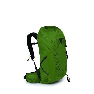Green Belt/black klik voor vergroting