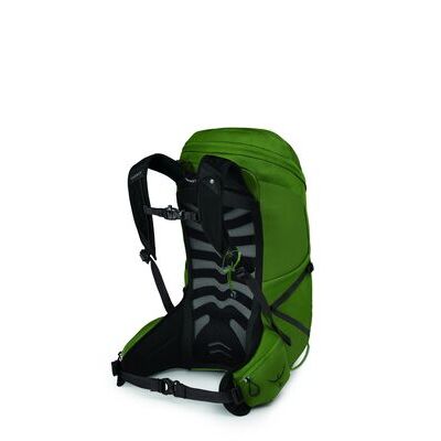 Green Belt/black klik voor vergroting