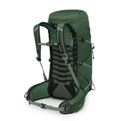 Green Canopy Pine Leaf klik voor vergroting