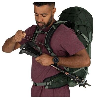 Green Canopy Pine Leaf klik voor vergroting