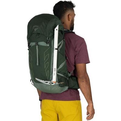 Green Canopy Pine Leaf klik voor vergroting