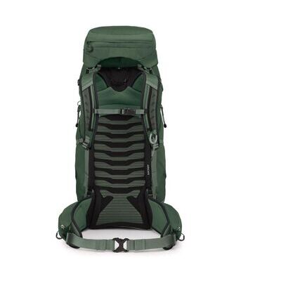 Green Canopy Pine Leaf klik voor vergroting