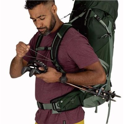 Green Canopy Pine Leaf klik voor vergroting