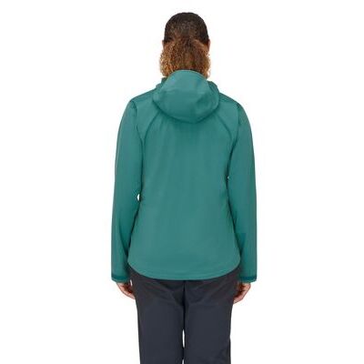 Eucalyptus klik voor vergroting