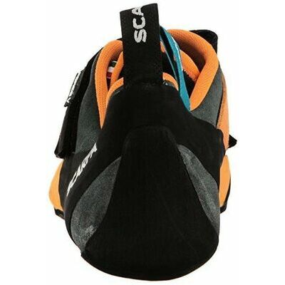 Mangrove/papaya klik voor vergroting