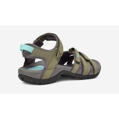 Burnt Olive klik voor vergroting