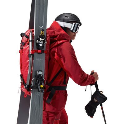 Red Dahlia/goji Berry klik voor vergroting