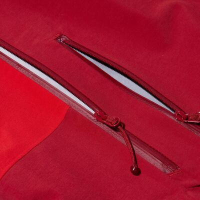 Red Dahlia/goji Berry klik voor vergroting