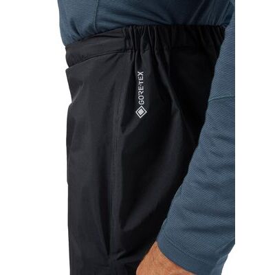 Beluga klik voor vergroting