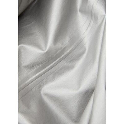 Beluga klik voor vergroting